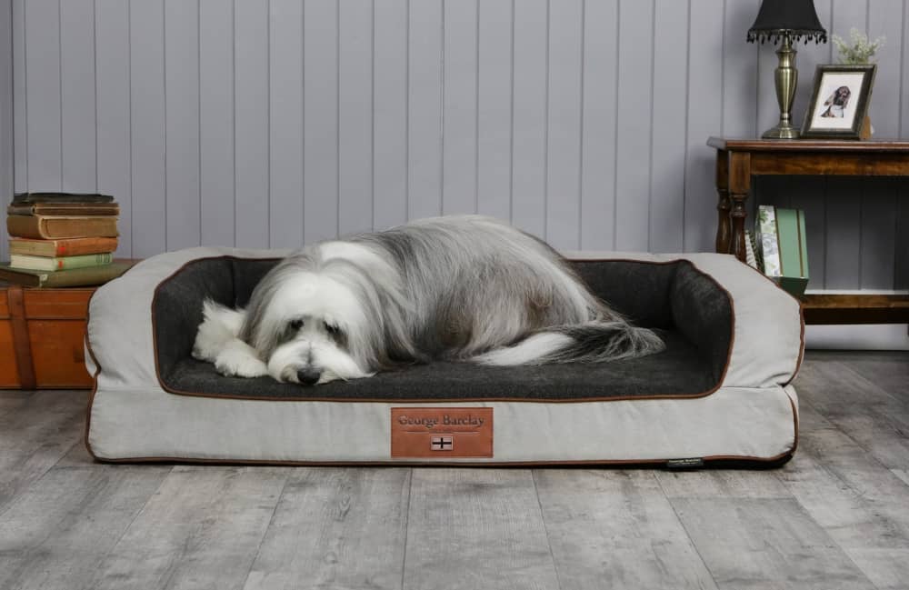 Dog sofa bed on laminate flooring.