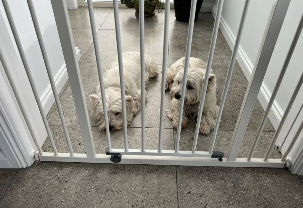 Tile is a great option for people with pets: it’s durable and easy to clean.