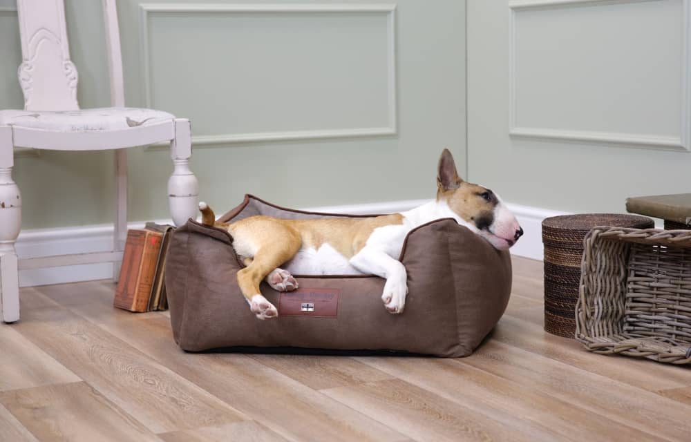 Orthopaedic walled dog bed on vinyl flooring.