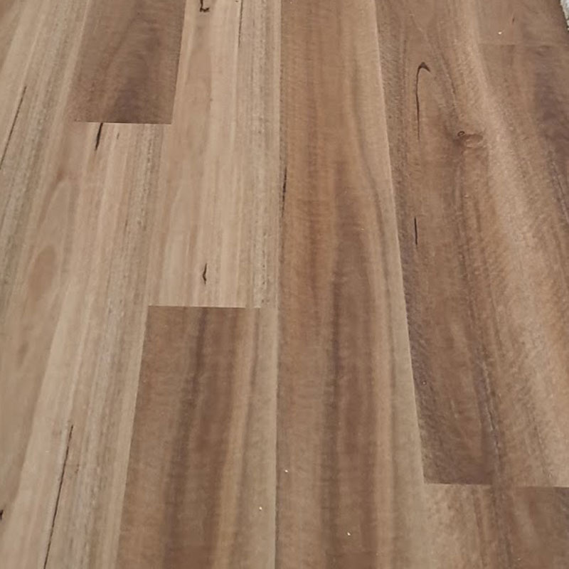 Complete Floors Supacore Hybrid Flooring Spotted Gum - Online Flooring Store