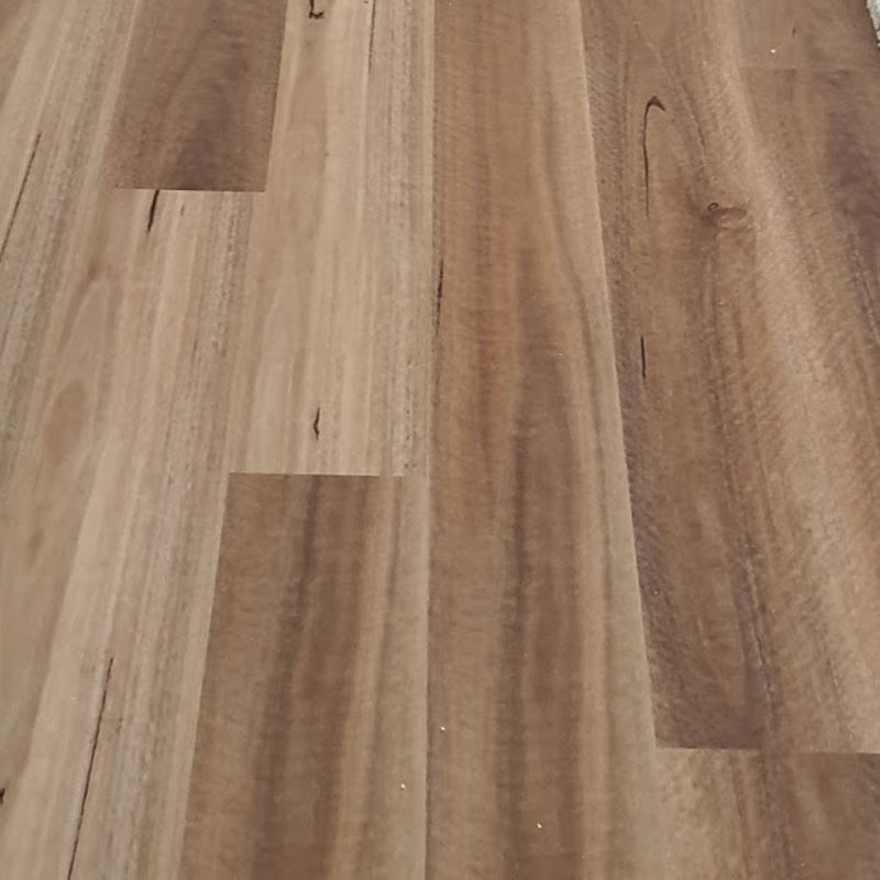 Complete Floors Supacore Hybrid Flooring Spotted Gum