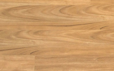 Airstep Eucalyptus Steps Laminate Blackbutt