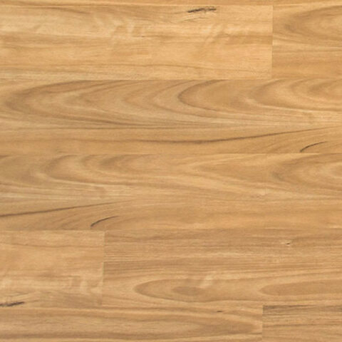 Airstep Eucalyptus Steps Laminate Blackbutt