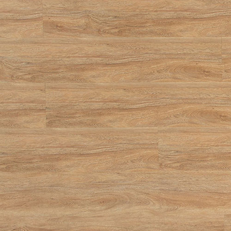 Airstep Eucalyptus Steps Laminate Tasmanian Oak - Online Flooring Store