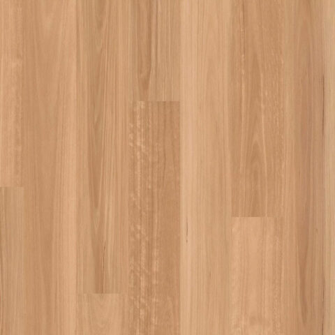 Decoline Natural Hybrid Flooring Coastal Blackbutt Online