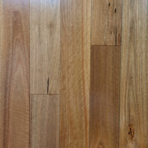Wonderful Floor Pre Finished Solid Timber Spotted Gum