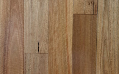 Wonderful Floor Pre Finished Solid Timber Spotted Gum