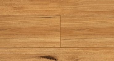 Airstep Eucalyptus Steps XL Laminate Blackbutt