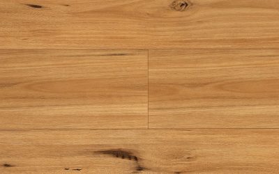 Airstep Eucalyptus Steps XL Laminate Blackbutt