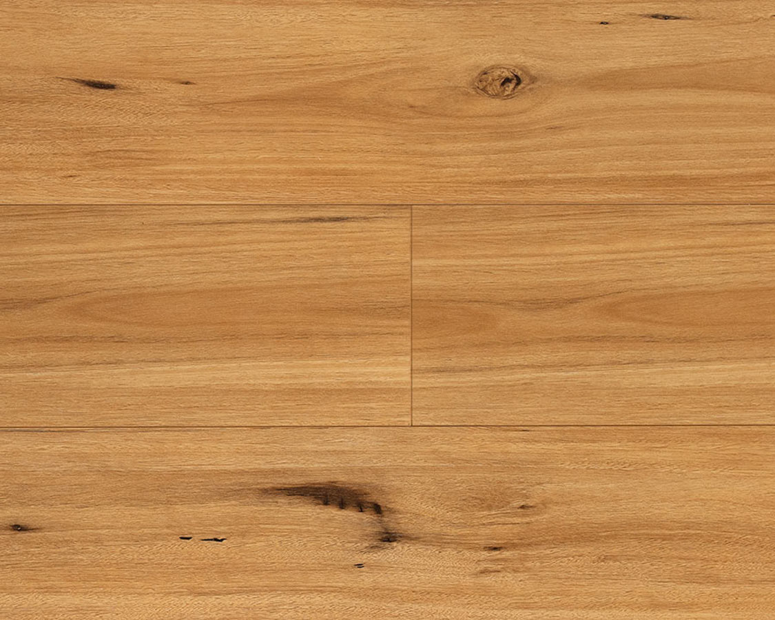 Airstep Eucalyptus Steps XL Laminate Blackbutt - Online Flooring Store