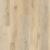 Decoline Wood Stone European Oak Hybrid Flooring Pearl