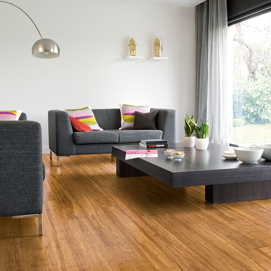 Overview Premium Floors ARC Engineered Bamboo Champagne