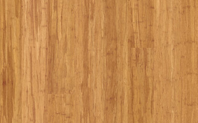 Premium Floors ARC Bamboo Champagne