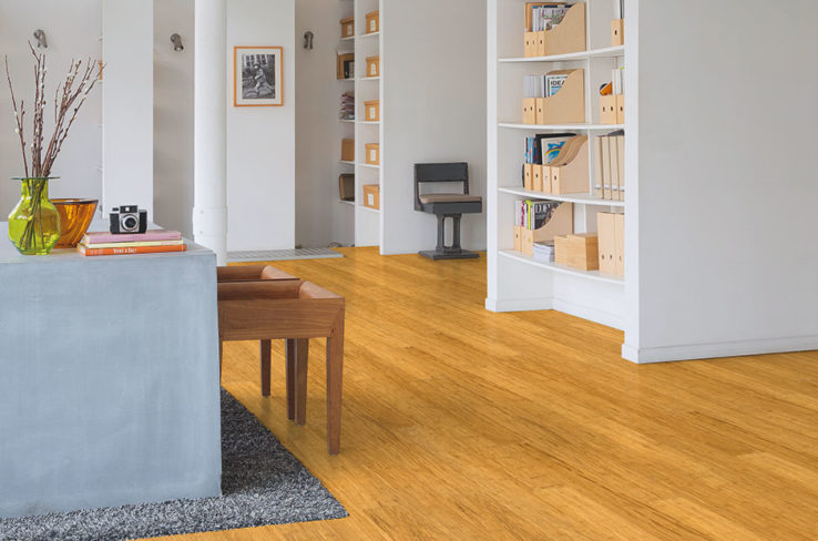 Pros and Cons of Bamboo Flooring