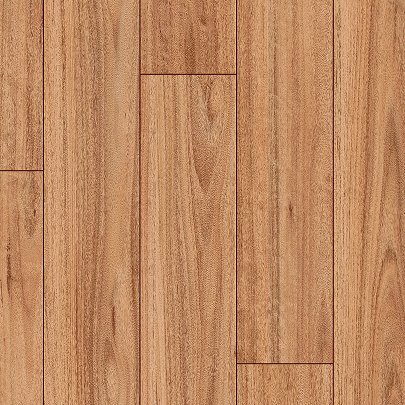 Premium Floors Clix XL Laminate Blackbutt