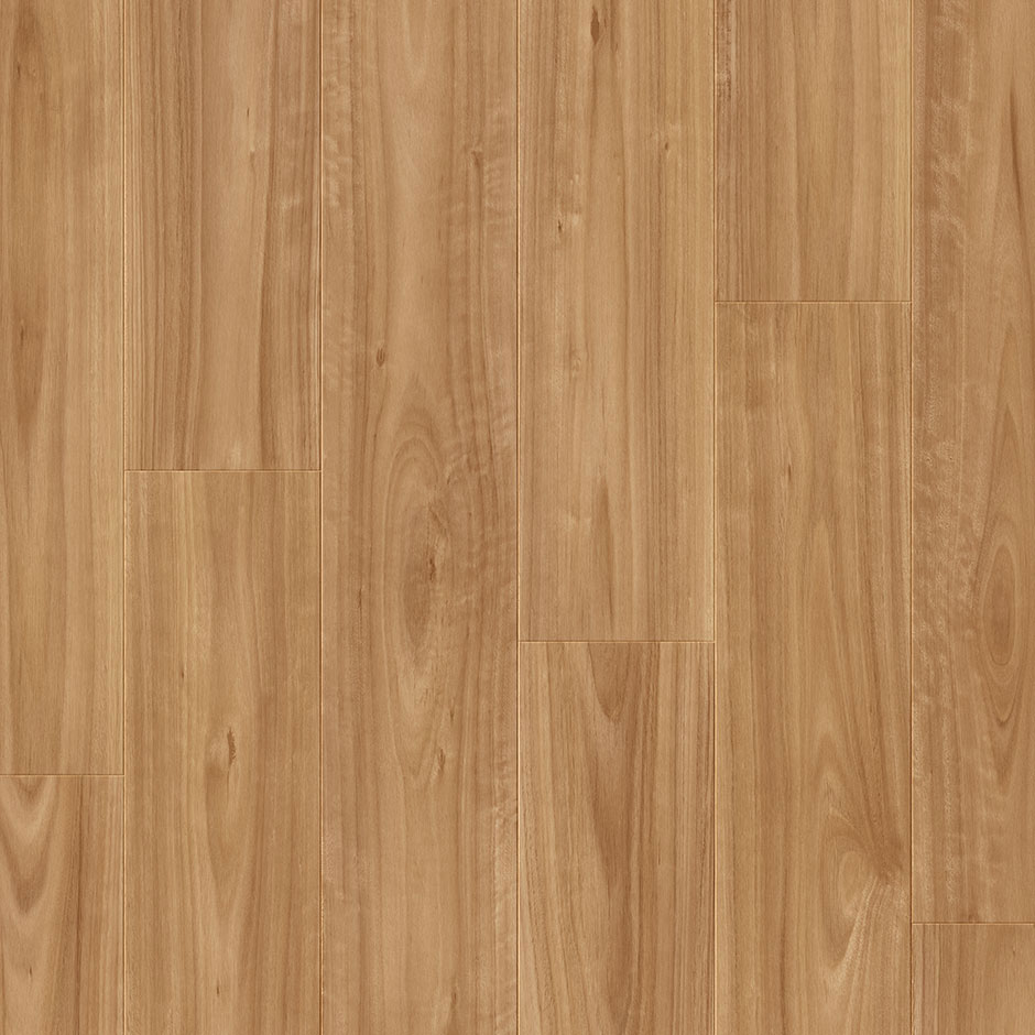 Premium Floors Quick-Step Impressive 8 mm Laminate Blackbutt - Online Flooring Store