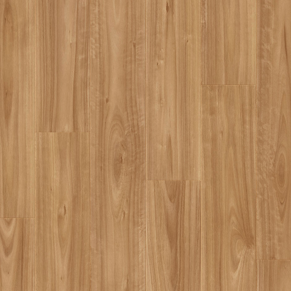 Premium Floors Quick-Step Impressive 8 mm Laminate Blackbutt