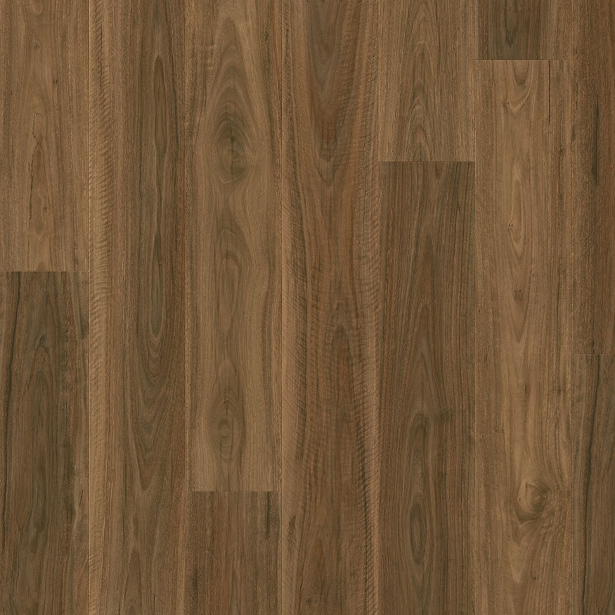 Premium Floors Quick-Step Majestic Laminate Spotted Gum