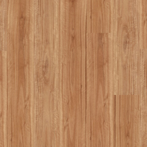 Premium Floors Titan Glue Vinyl Planks Blackbutt