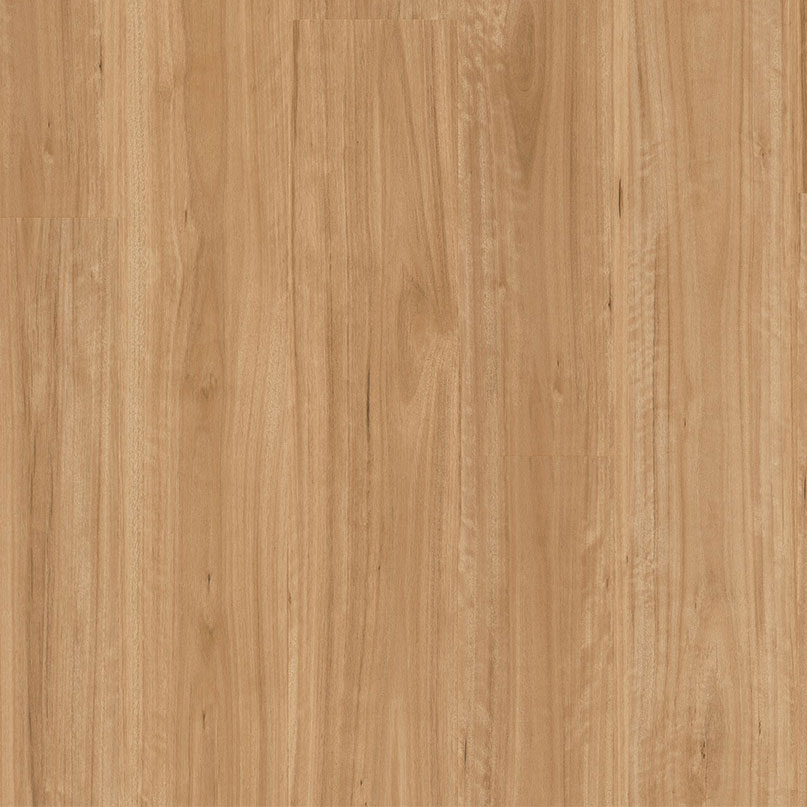 Premium Floors Titan Glue Vinyl Planks Bleached Blackbutt - Online Flooring Store