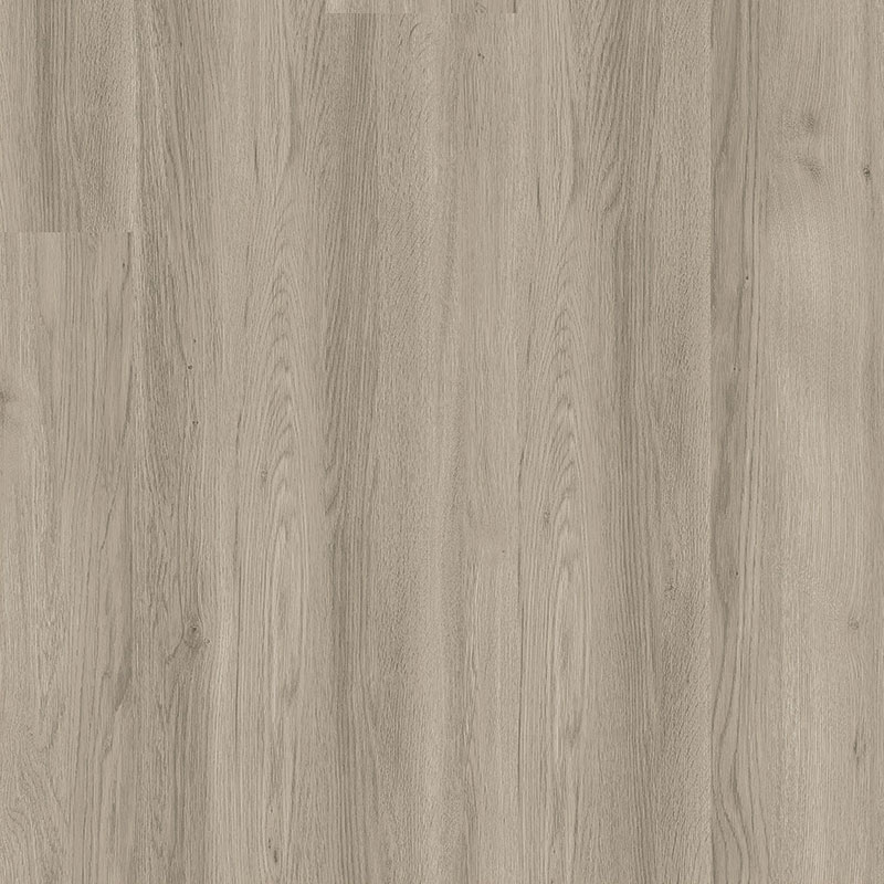 Premium Floors Titan Glue Vinyl Planks Silver Grey Ash - Online Flooring Store