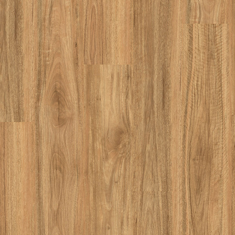 Premium Floors Titan Glue Vinyl Planks Stonewashed Spotted Gum - Online Flooring Store