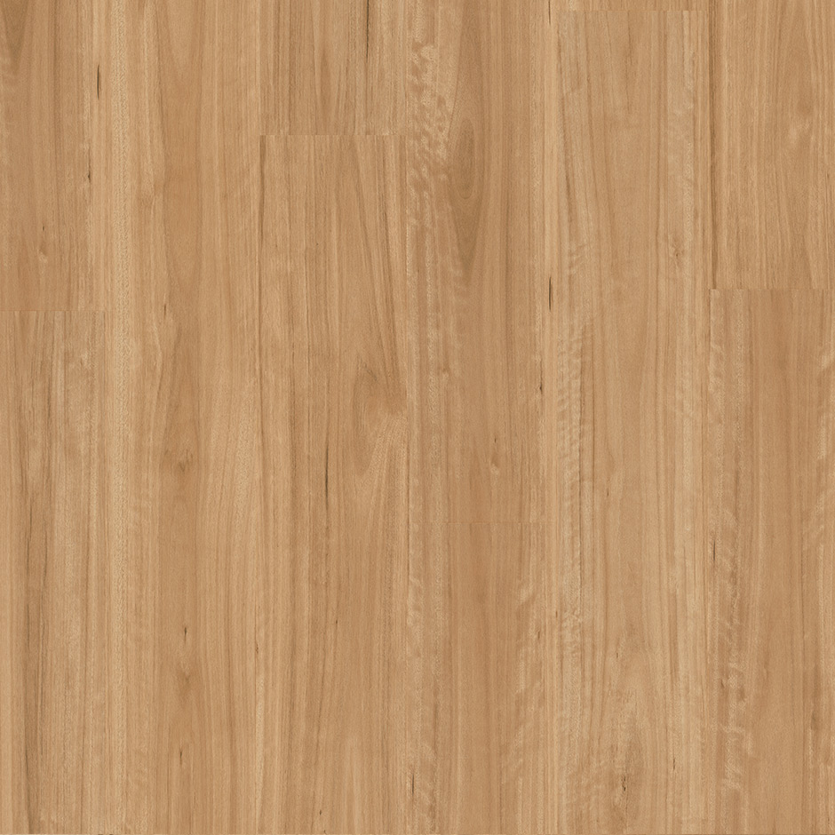 Premium Floors Titan Hybrid Flooring Bleached Blackbutt - Online Flooring Store