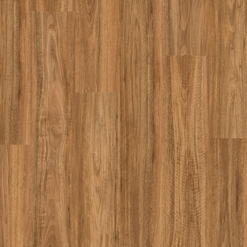 Premium Floors Titan Hybrid Flooring Spotted Gum - Online Flooring Store