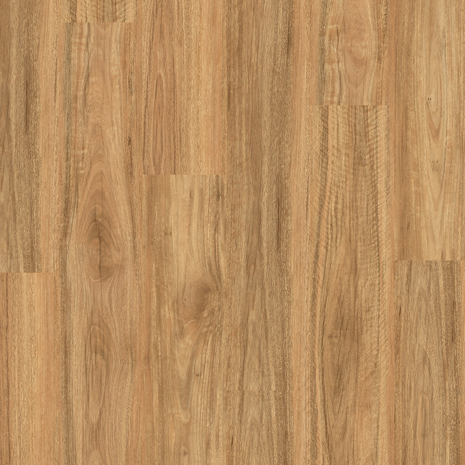 Premium Floors Titan Hybrid Flooring Stonewashed Spotted Gum - Online Flooring Store