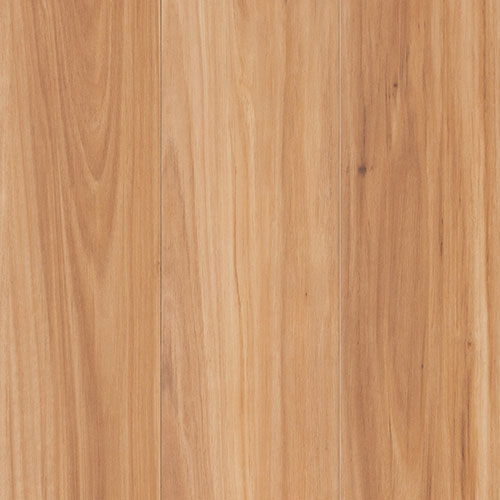 Terra Mater Floors NuCore Excellence Laminate Coastal Blackbutt Matte