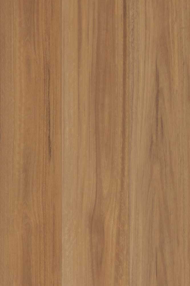 Terra Mater Floors NuCore Excellence Laminate Spotted Gum Matte