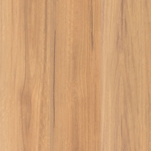 Terra Mater Floors NuCore Lamwood Extreme Laminate Spotted Gum Matte - Online Flooring Store