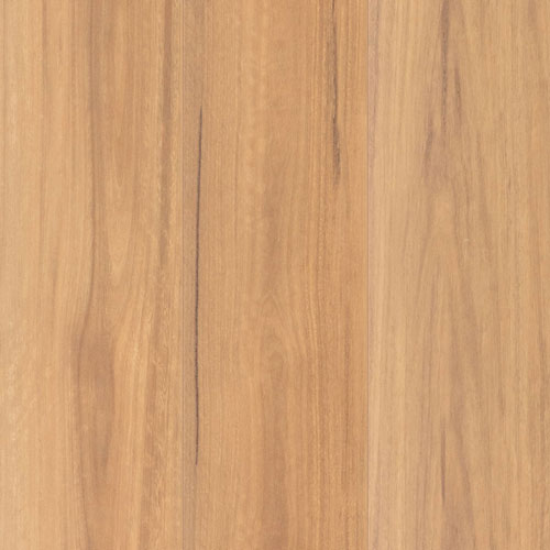 Terra Mater Floors NuCore Lamwood Extreme Laminate Spotted Gum Matte