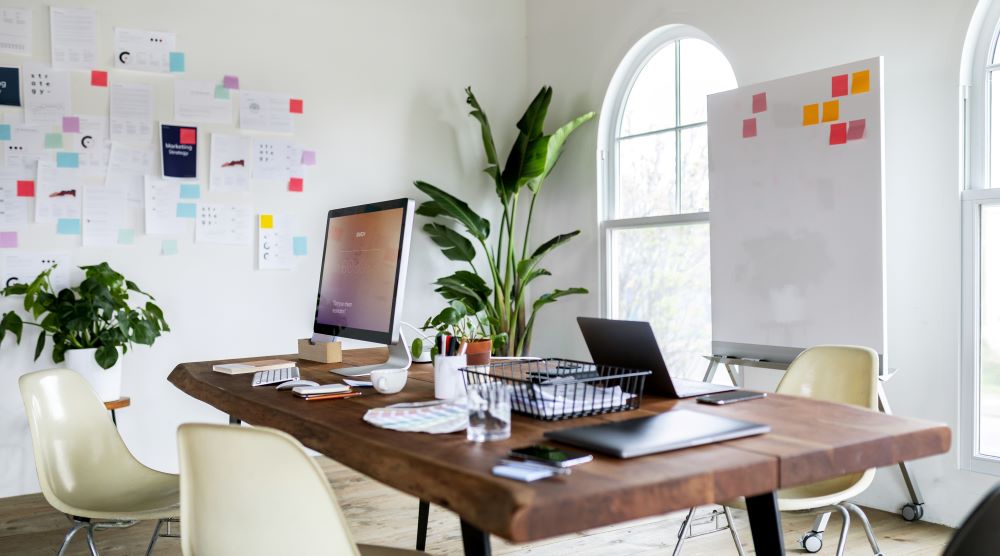 Plants give this office interior a welcoming touch. 