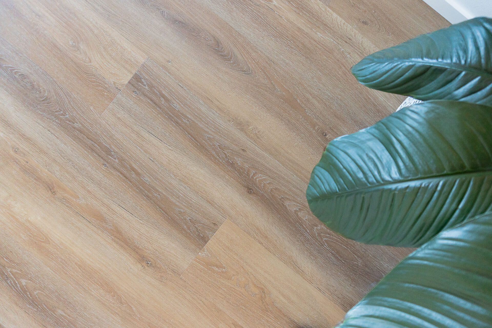 Terra Mater Floors Resiplank Hybrid Flooring Nevada