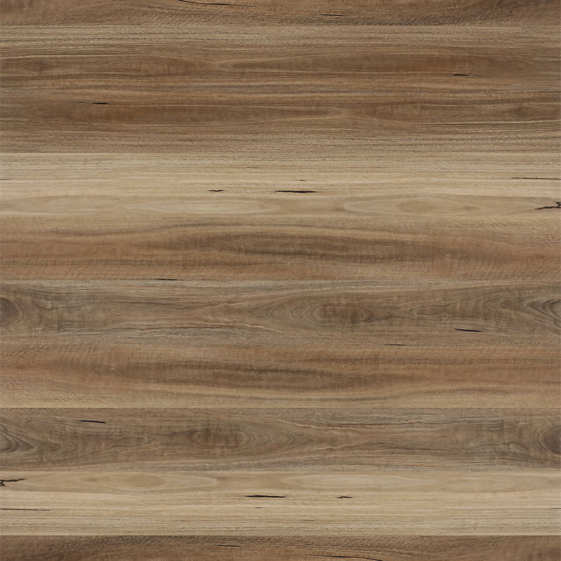 Avala Hybrid Flooring Spotted Gum