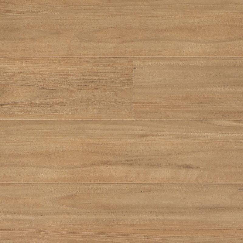 Prime Legend Collection Laminate Blackbutt