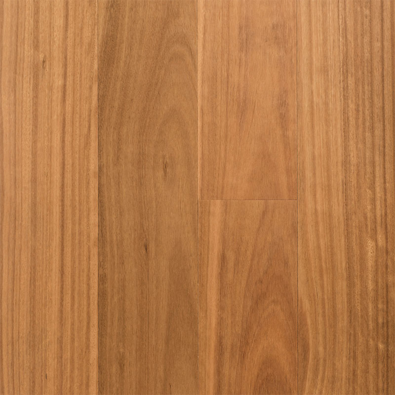 Regency Eco-Smart Engineered Timber 12mm Blackbutt - Online Flooring Store