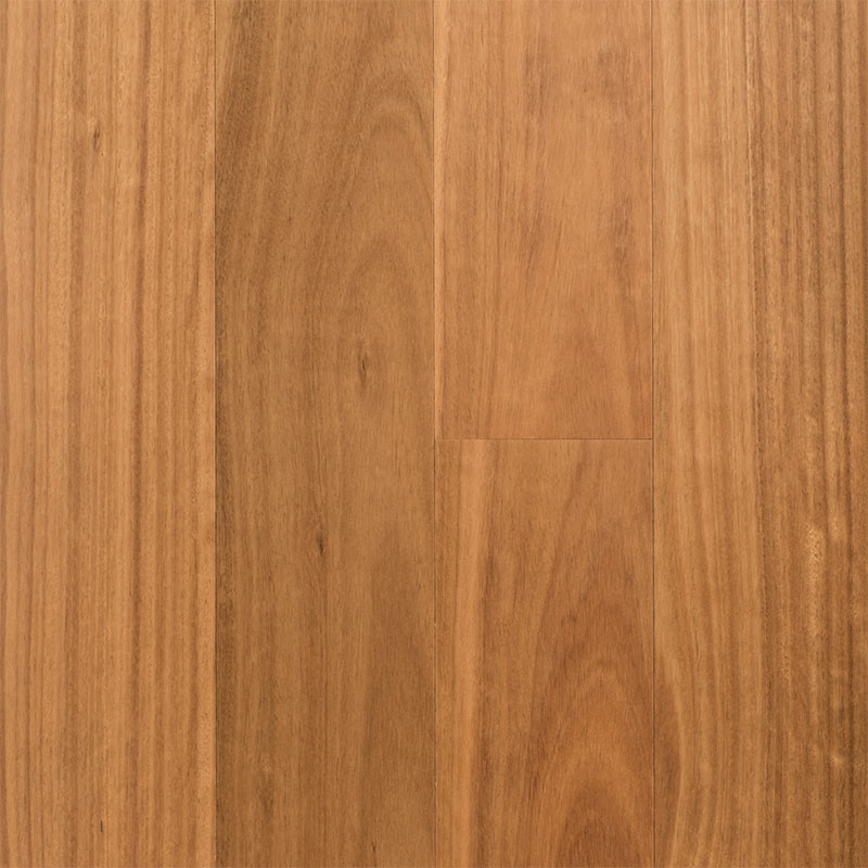 Regency Advanced Engineered Timber Blackbutt