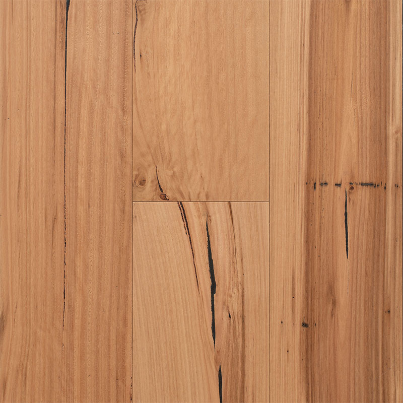 Regency Hardwood Hinterland Collection Engineered Timber Blackbutt