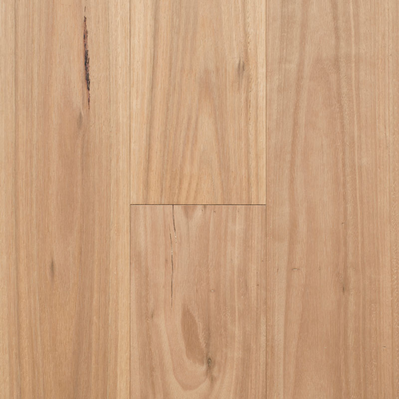 Regency Hardwood Infinite Collection Engineered Timber Blackbutt - Online Flooring Store