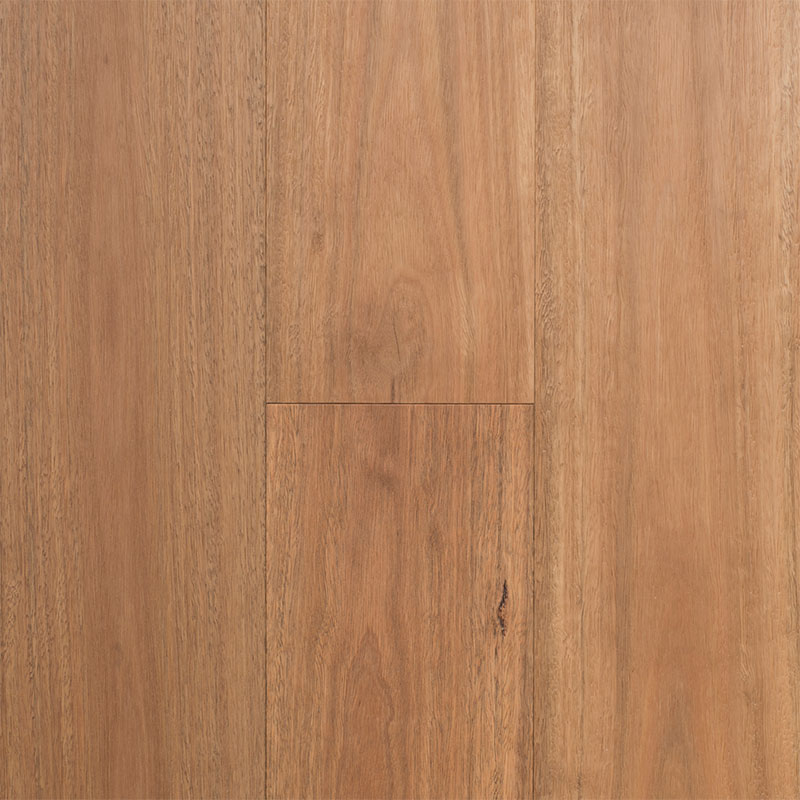 Regency Hardwood Infinite Collection Engineered Timber Spotted Gum