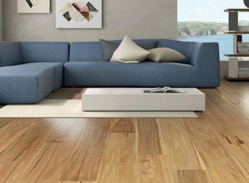 Spotted Gum is a highly popular flooring choice.