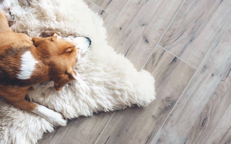 Laminate flooring is scratch-resistant which makes it a great choice for households with active pets.