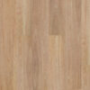 Premium Floors Titan Hybrid Home Pale Spotted Gum