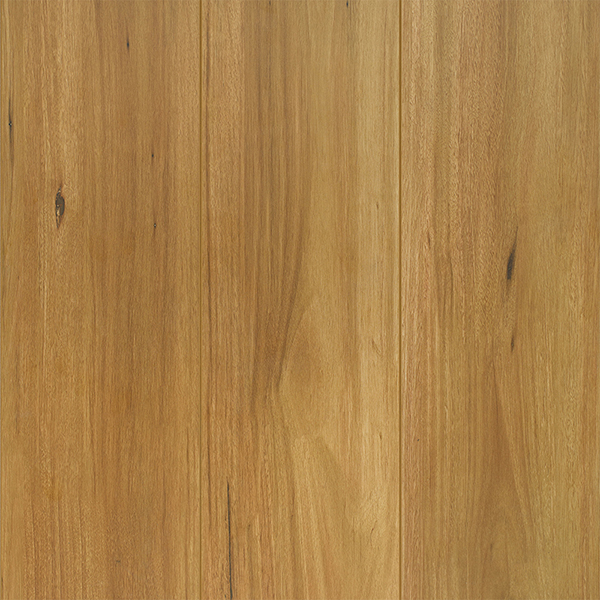 Reflections Lifestyle Collection Laminate Spotted Gum - Online Flooring Store