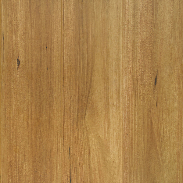 Reflections Lifestyle Collection Laminate Spotted Gum