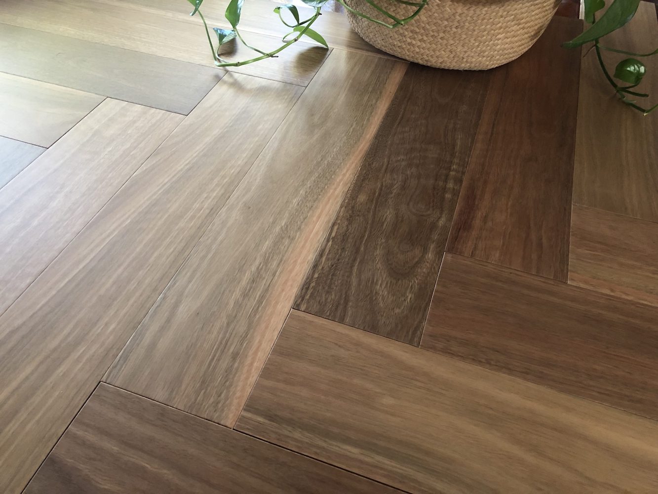 Hurford Flooring Australian Native Herringbone Engineered Timber Spotted Gum - Online Flooring Store