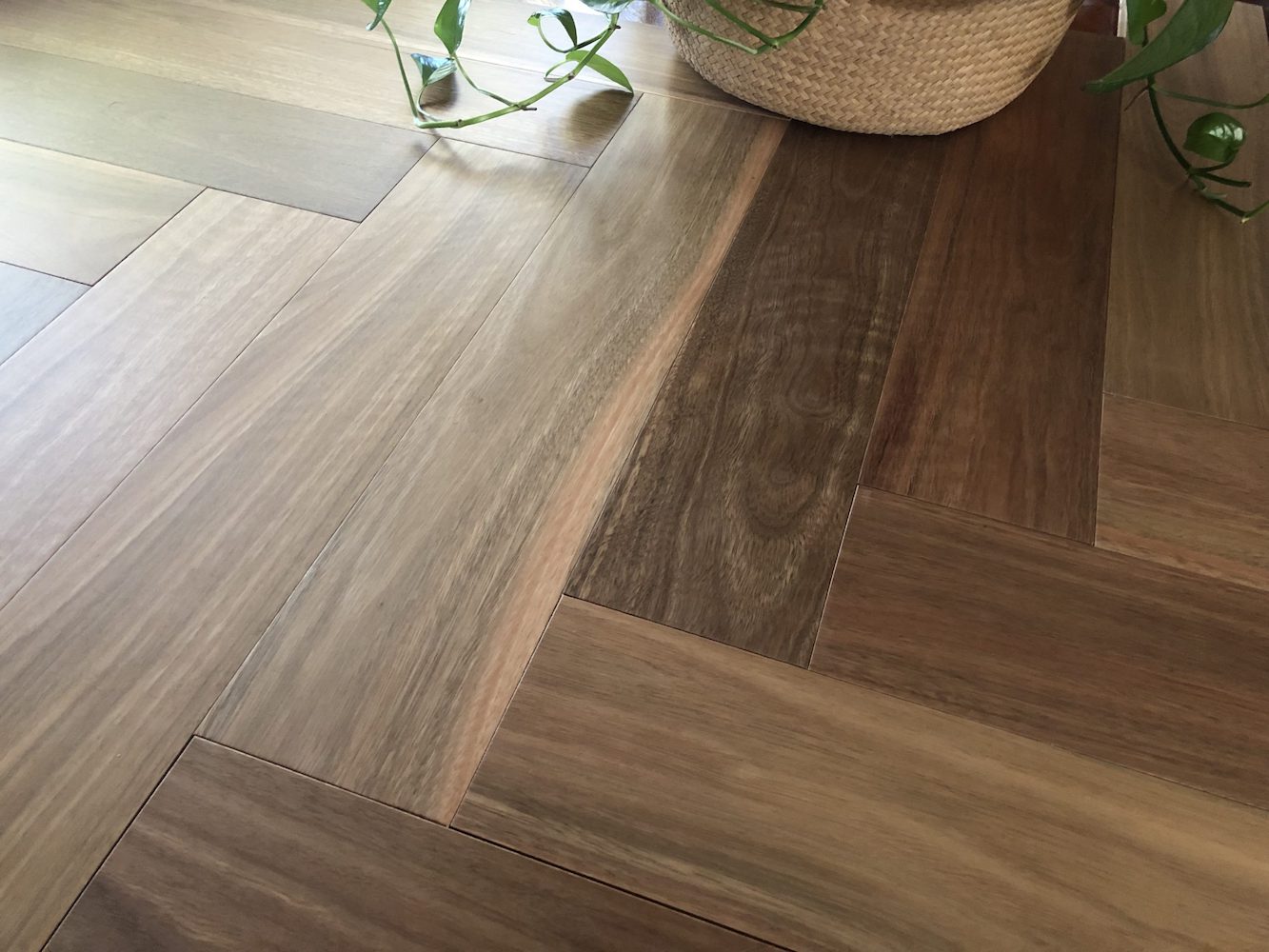 Australian Native Herringbone Engineered Timber Spotted Gum