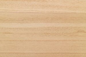 Paulownia wood board texture.